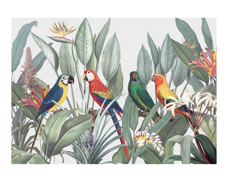 Colorful macaws on a tropical background vintage illustration