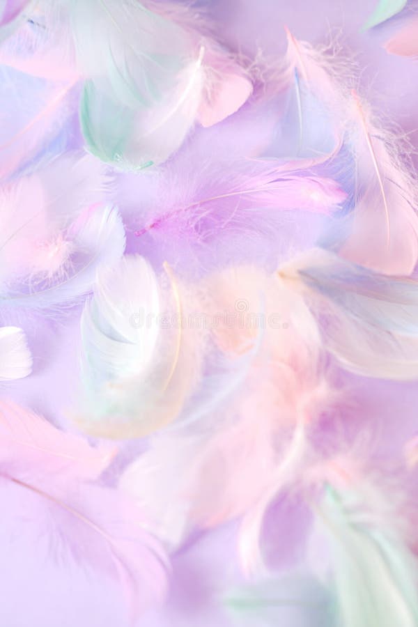 Colorful Many Feathers on Purple Fluffy Background Stock Image - Image ...