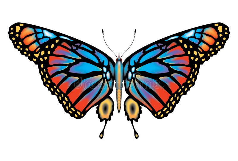 Ilustraciones de hermoso mariposa () .