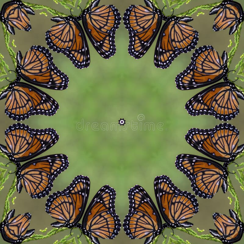 Colorful Monarch Butterfly Kaleidoscope 2