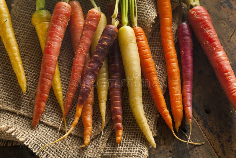 Colorful Multi Colored Raw Carrots