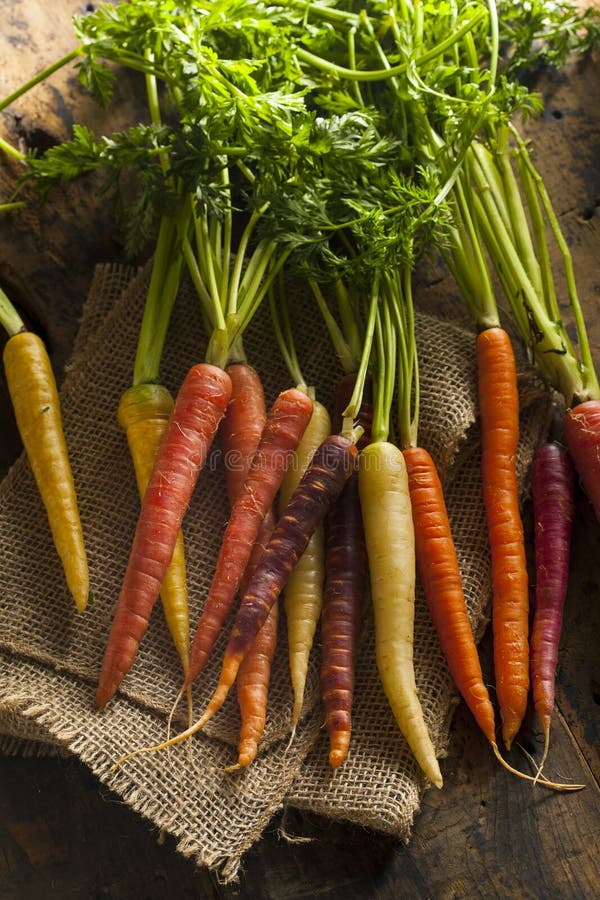 Colorful Multi Colored Raw Carrots