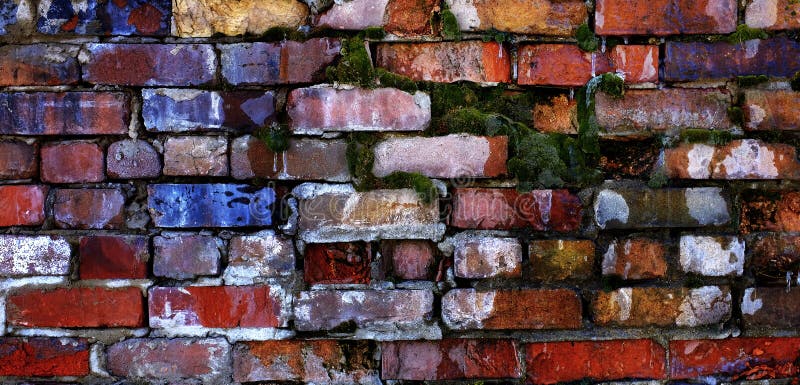 Old Textured Wall with Colorful Bricks Moss Growing in Cracks Chipped Mortar stock photo