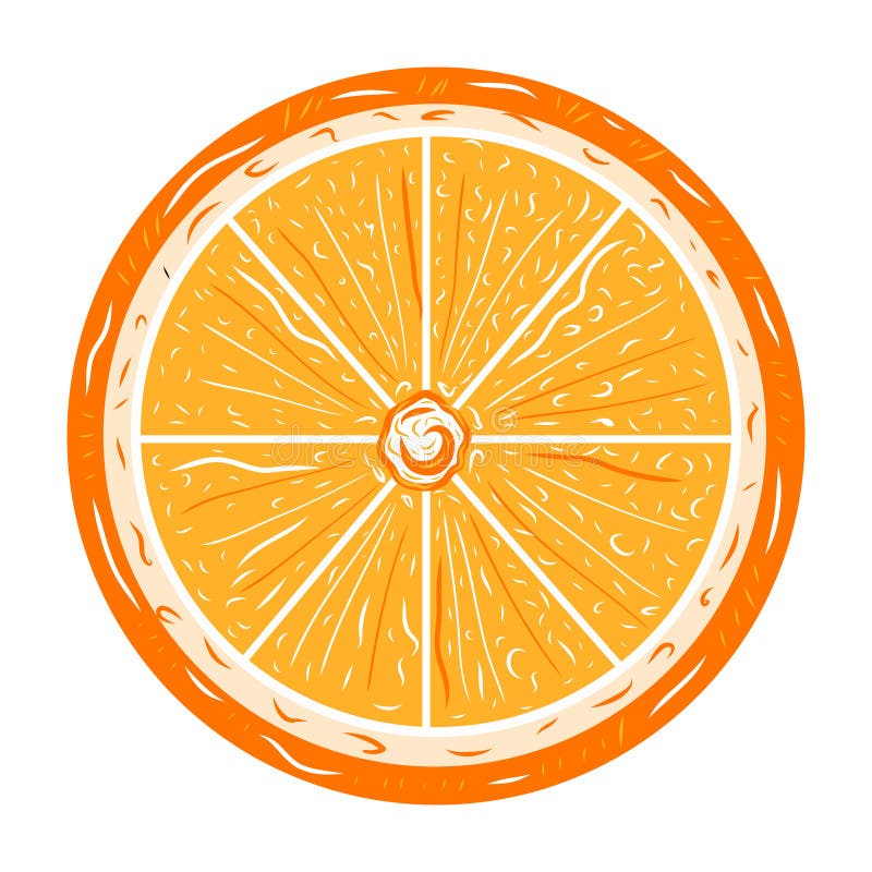 Cut Orange Fruit Wheel Stock Illustrations 37 Cut Orange Fruit Wheel