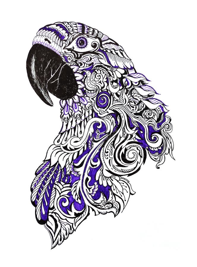 https://thumbs.dreamstime.com/b/colorful-painted-parrot-head-gel-pens-white-background-63775456.jpg