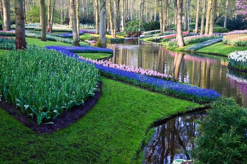 Colorful park with tulips, daffodils and hyacinths