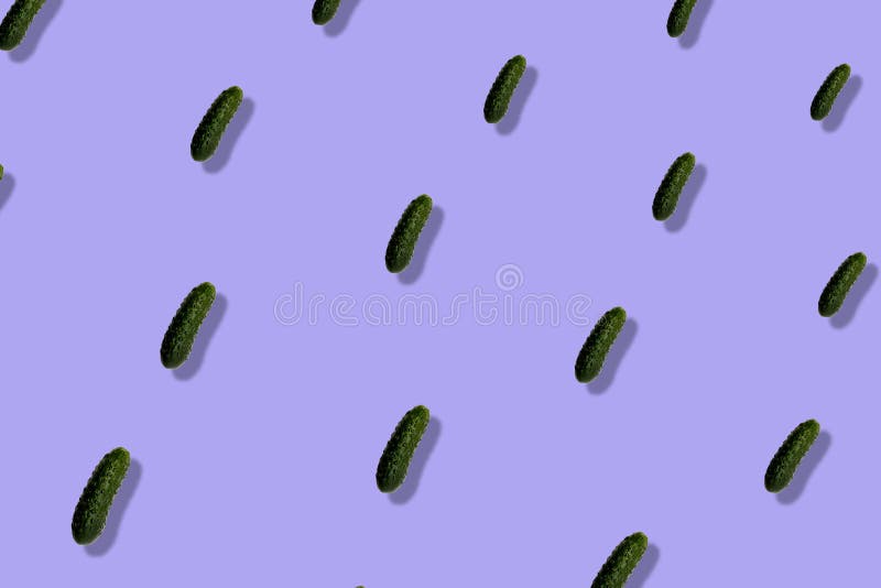 Colorful pattern of fresh cucumbers on purple background with shadows. Top view. Flat lay. Pop art design