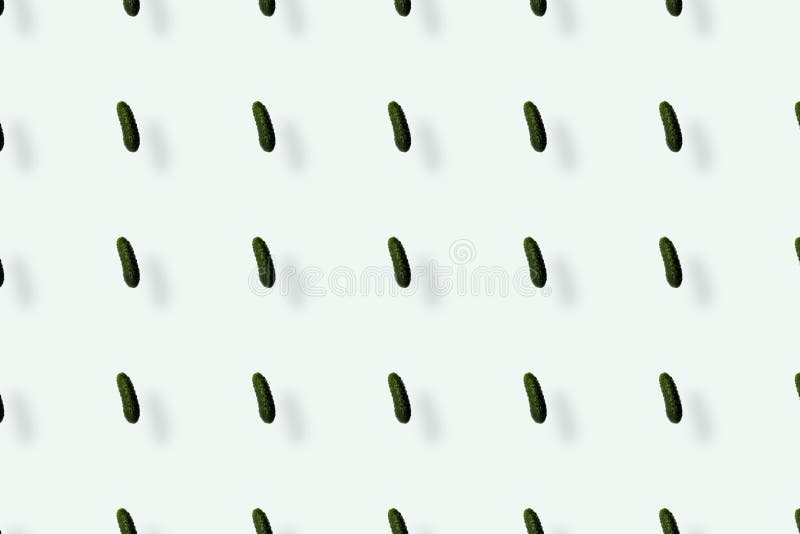 Colorful pattern of fresh cucumbers on white background with shadows. Top view. Flat lay. Pop art design