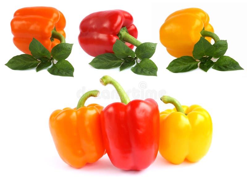 Colorful peppers stock photo. Image of lifestyle, backgrounds 14432526