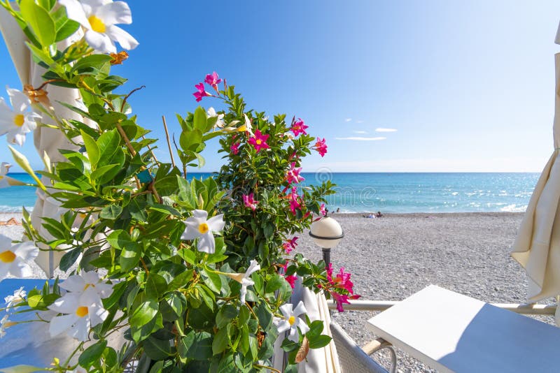 Colorful pink, white and yellow flowers along the promenade of Menton, France, with the sea and pebble beach in view royalty free stock photography Colorful pink, white and yellow flowers along the promenade of Menton, France, with the sea and pebble beach in view royalty free stock photography
