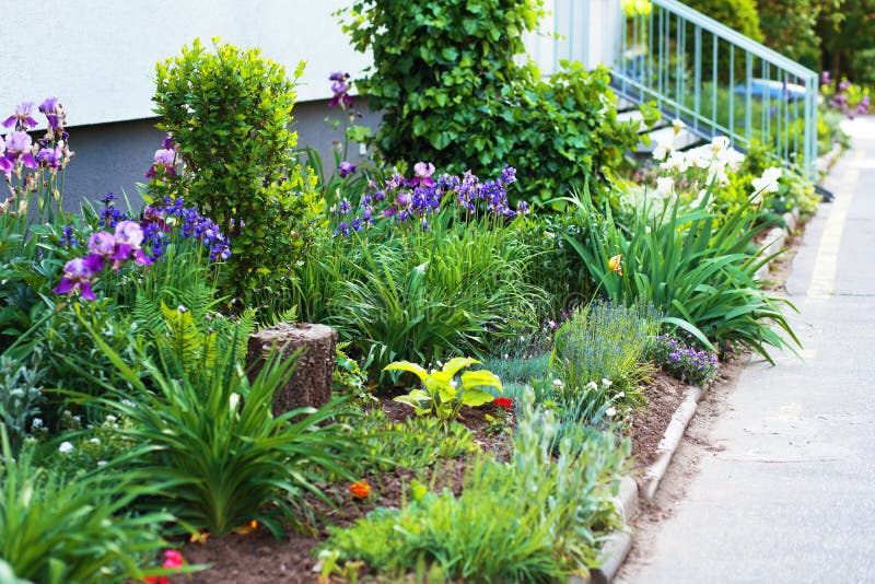 Colorful plants