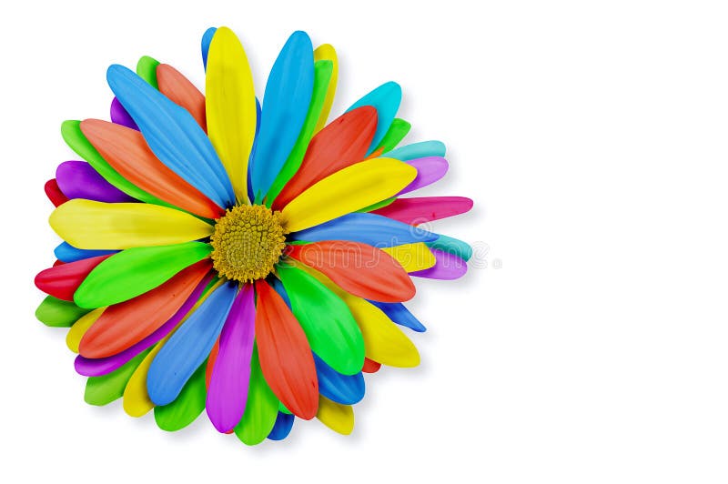 Rainbow Flower stock image. Image of nature, colorful 15163691