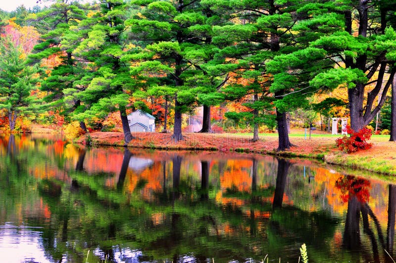 Colorful Reflection of Trees on Water