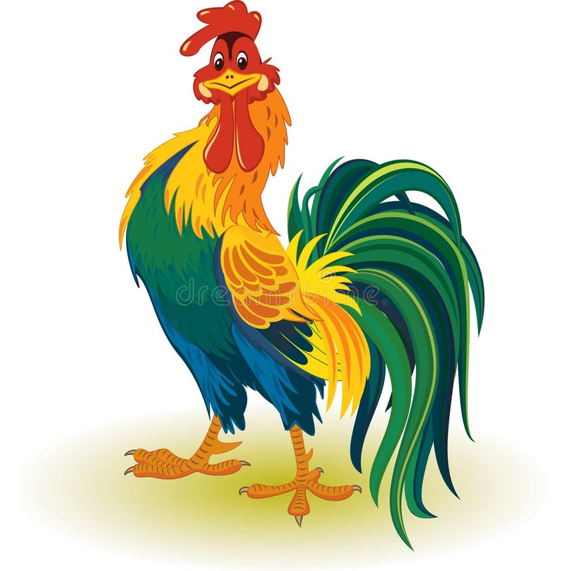 Coloratissimo gallo illustrazione tutto