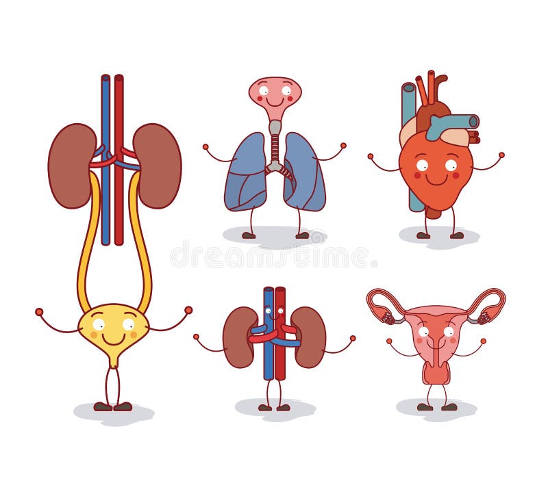 Colorful Silhouette Caricature Happy Face Set Collection Human Body Systems Stock Vector - Illustration of legs, heart: 112109469 Colorful Silhouette Caricature Happy Face Set Collection Human Body Systems Stock Vector - Illustration of legs, heart: 112109469