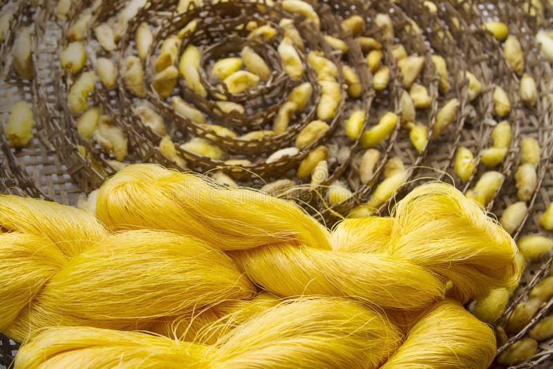 Colorful silk thread and cocoons nests stock image