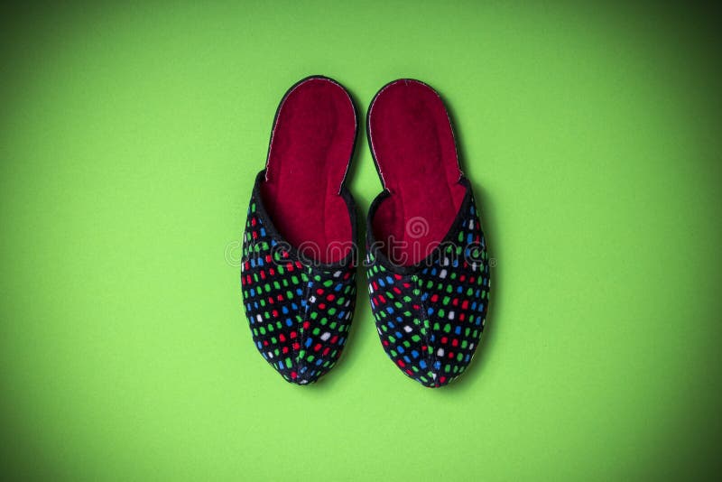 Slipper Shoe on Green Background Stock Image Image of home, colorful