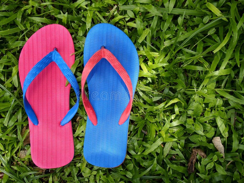 Colorful Slippers or Flip Flops Stock Image - Image of leaves, rubber ...