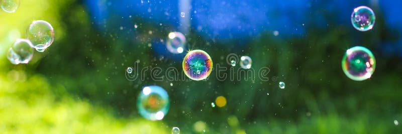 Colorful soap bubbles on summer natural background. Web banner for your design. Many bubbles are flying on the grass stock photos