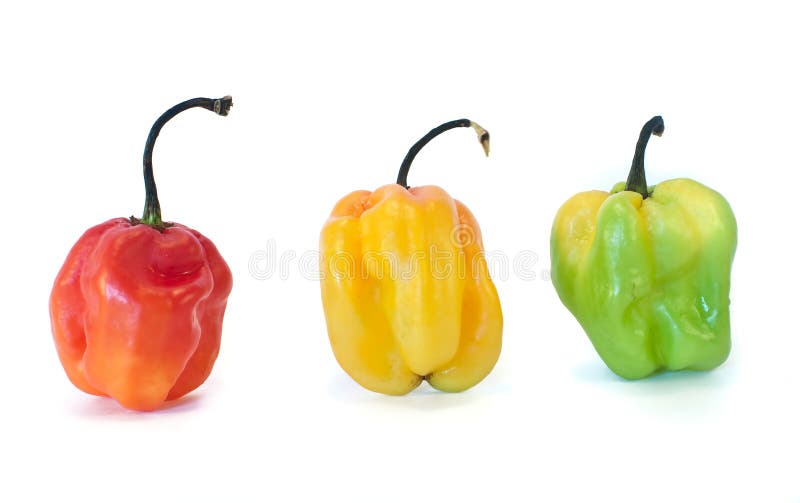 Colorful spicy peppers