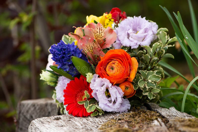 Colorful Spring Flower Bouquet in a Spring Garden Stock Image Image of ranunculus, flower