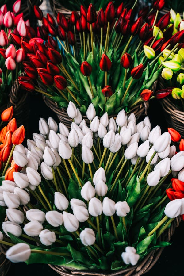 Colorful spring tulips flowers in wicker baskets stock images Colorful spring tulips flowers in wicker baskets stock images