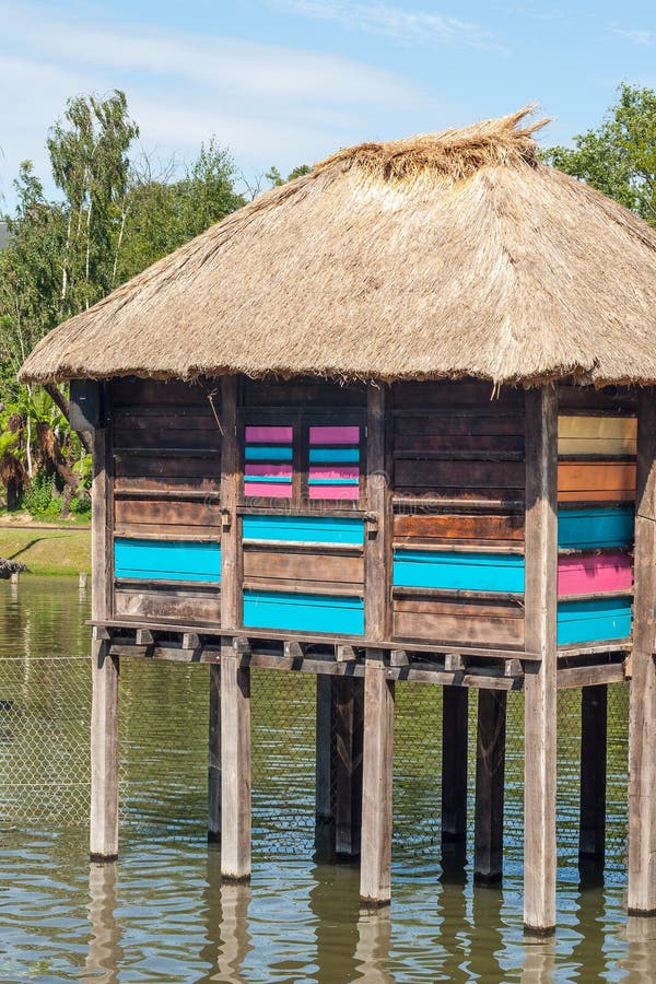A Colorful Stilt Village in Africa Floating . Stock Photo Image of