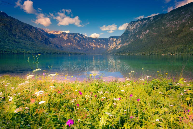 Colorful summer morning on the Bohinj lake in Triglav national p