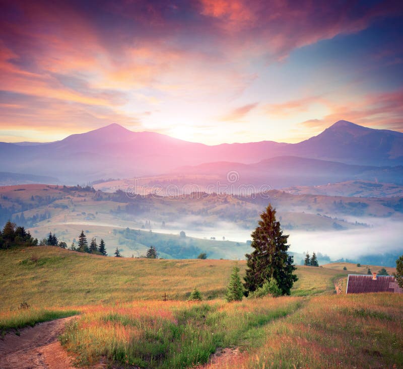 Colorful Summer Sunrise In The Carpathians Stock Photo Image Of Light