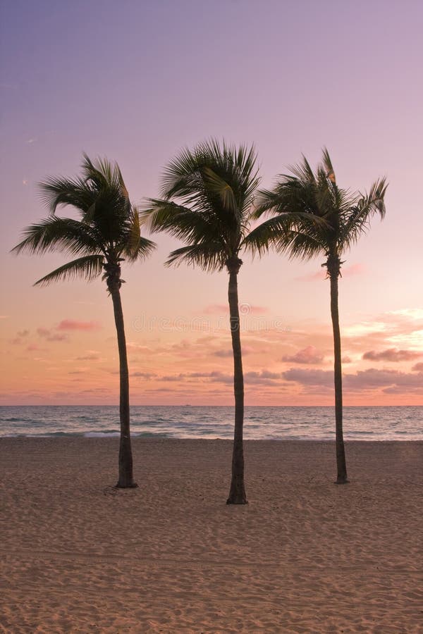 Colorful sunrise in Miami Beach Florida