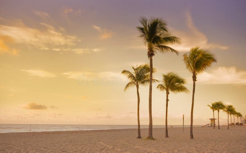 Colorful sunrise at Tropical summer paradise in Miami Beach Florida with silhouettes of palm trees and ocean in the background , with pristine sands and cloudy sky. Colorful sunrise at Tropical summer paradise in Miami Beach Florida with silhouettes of palm trees and ocean in the background , with pristine sands and cloudy sky