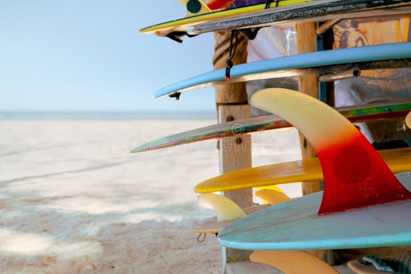 Colorful surf boards in shop for rent on the beach. water sports equipment