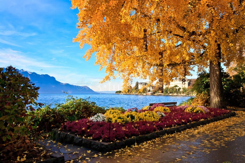 Colorful swiss landscape