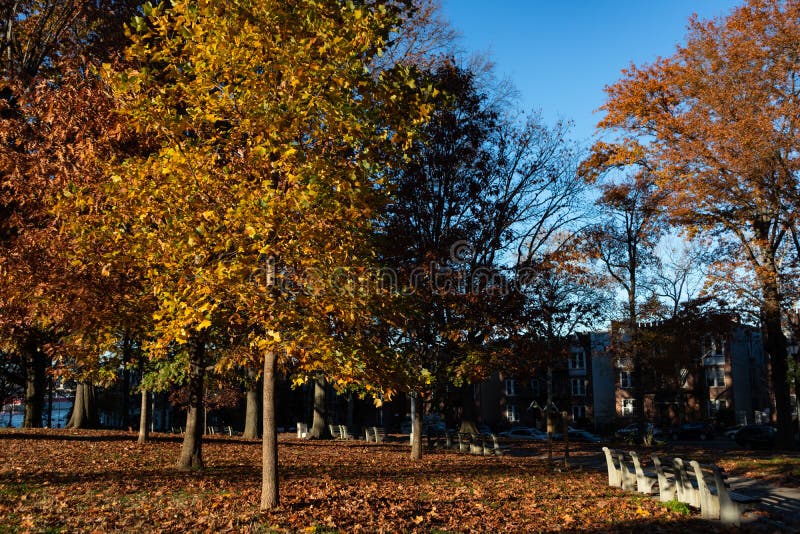 Colorful Trees at Astoria Park in Astoria Queens New York during Autumn ...