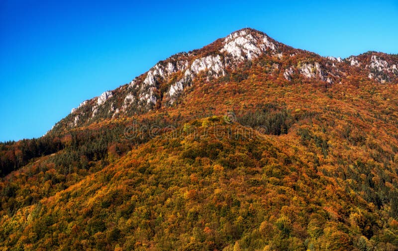 Colorful trees in autumn forest. Top of the hill Sip, Slovakia
