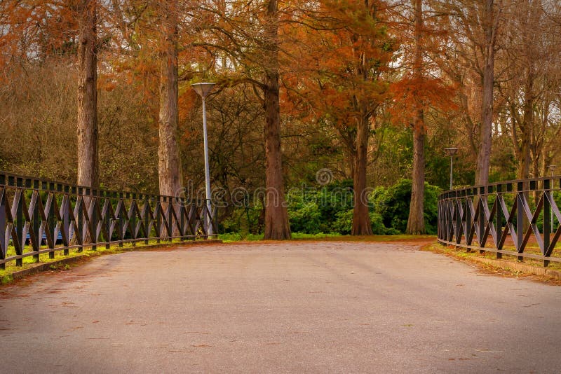 Pathway in the autumn park stock photography Pathway in the autumn park stock photography
