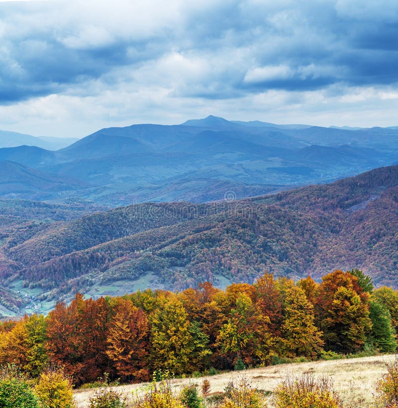 Colorful trees and heavy clouds in the autumn mountains stock photos