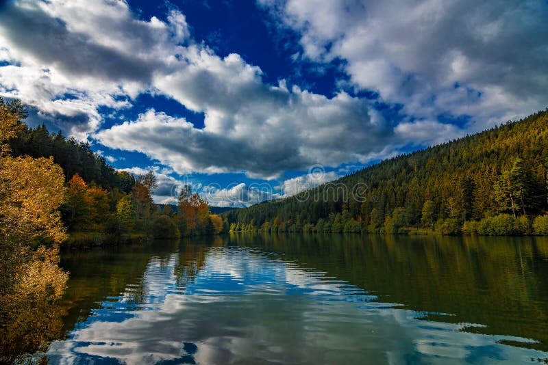 Colorful Trees at the Sea Nagoldtalsperre in Black Forest, Schwarzwald, National Park, Germany at Autumn Image - Image of black, clean: