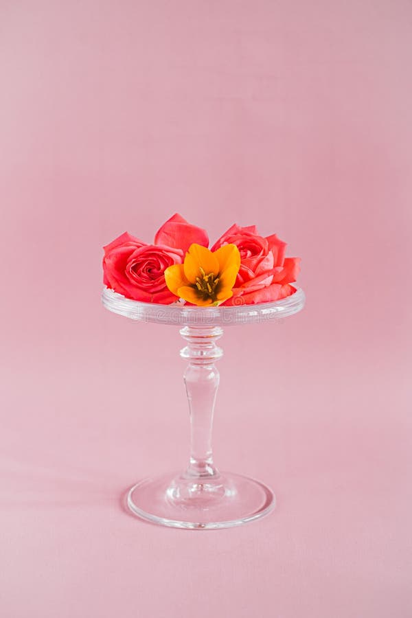 Colorful Stand Composition Colorful Tropical Flowers Composition On Glass Cake Stand