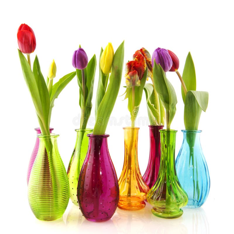 Colorful Tulips in Glass Vases Stock Photo - Image of spring, vases ...