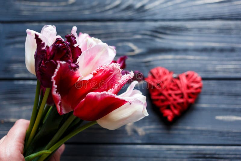 Colorful tulips close up in hands on the gray wooden table. Valentines, spring, Womans day, Mothers day background. Floral mock up