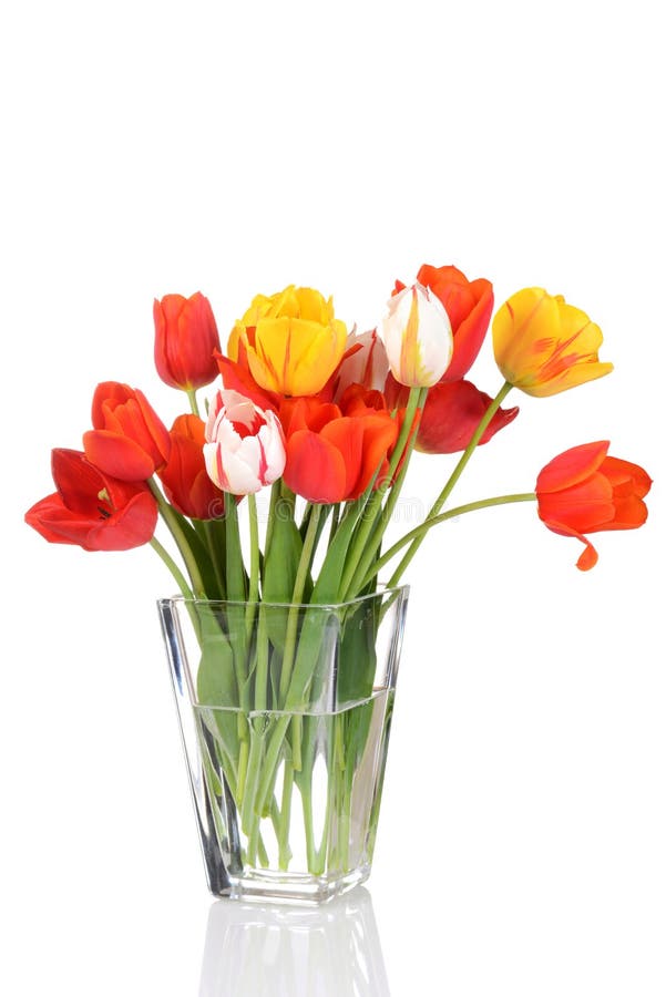 Colorful tulips in a vase stock photo. Image of classic 31694992