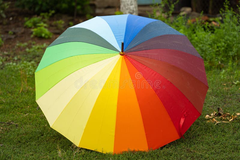 Colorful Umbrella in the Rain on the Street Stock Photo Image of
