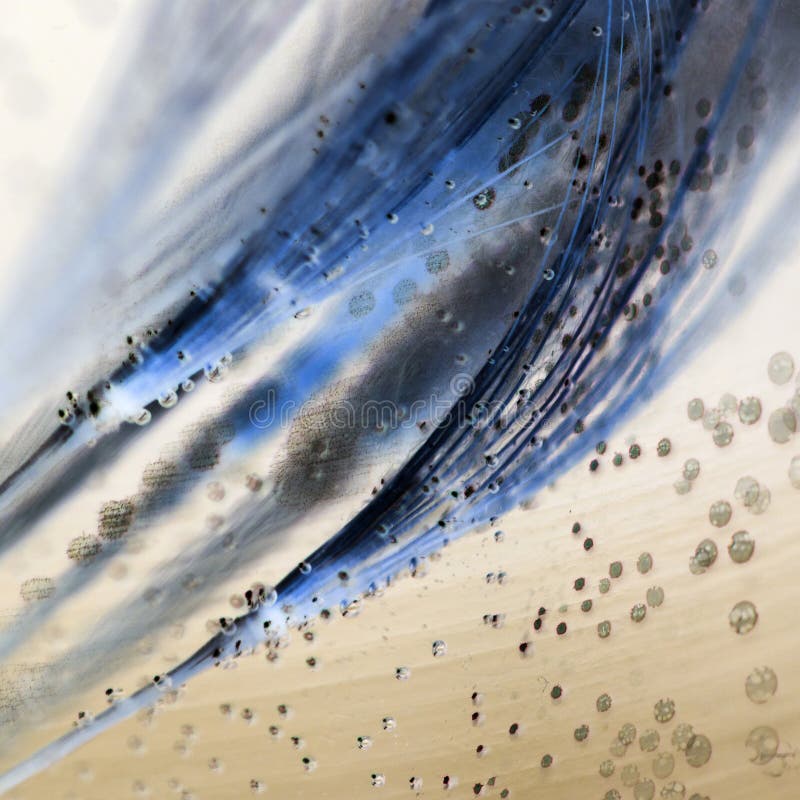 Colorful underwater dandelion seeds with bubbles stock image Colorful underwater dandelion seeds with bubbles stock image