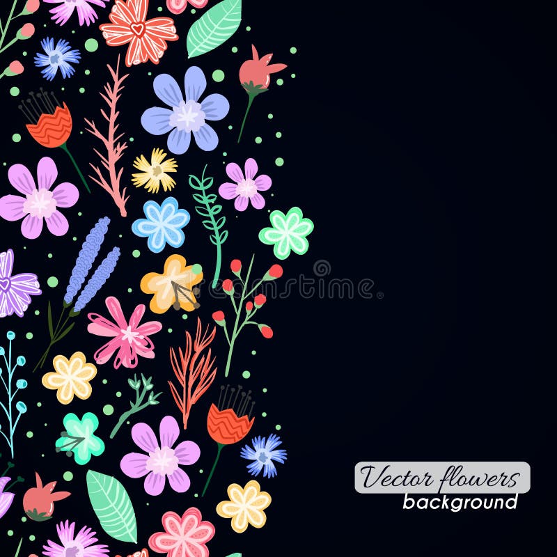 Colorful vector flowers background