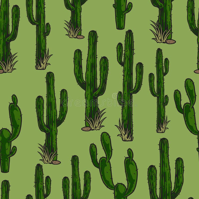 Spiny cactuses on green background vector illustration