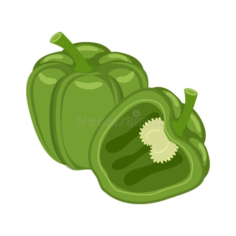Colorful whole and half green bell pepper vegetable vector illu