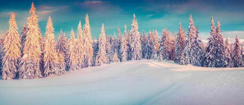 Colorful winter panorama of snowy mountains.