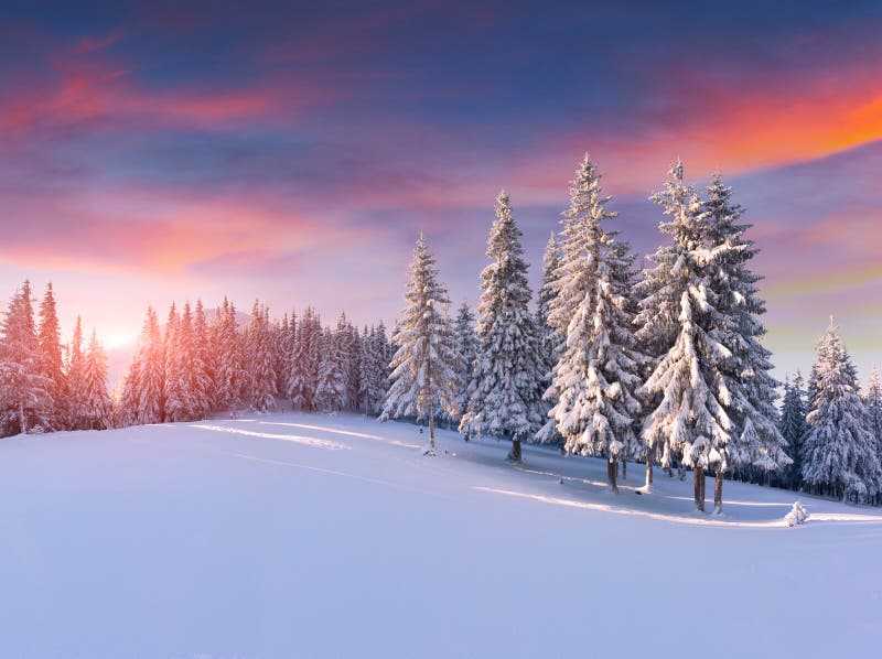 Colorful Winter Sunrise in Mountains Stock Photo Image of light