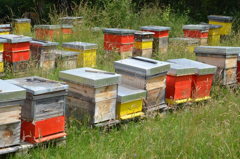 Colorfull-Bienenhäuser lizenzfreie stockbilder Colorfull-Bienenhäuser lizenzfreie stockbilder
